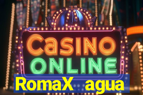 RomaX agua sanitaria fispq agua sanitaria romax